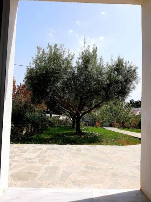 Garden, Garden view