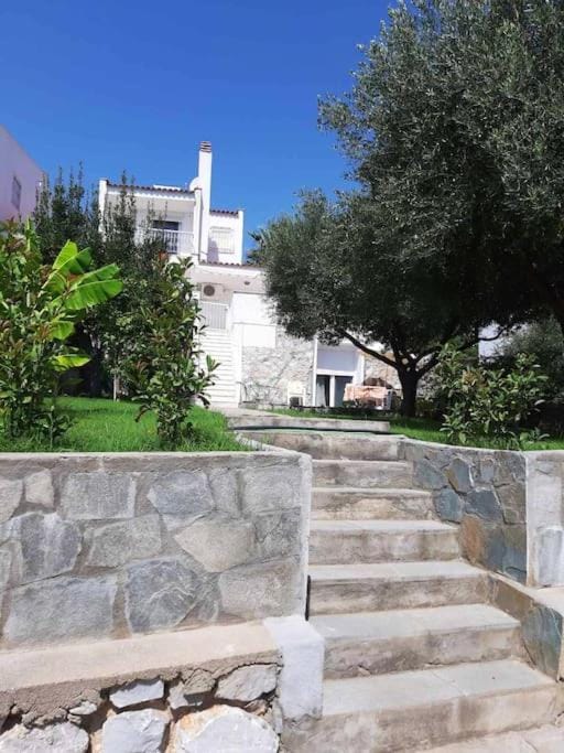 Property building, Garden, Garden view