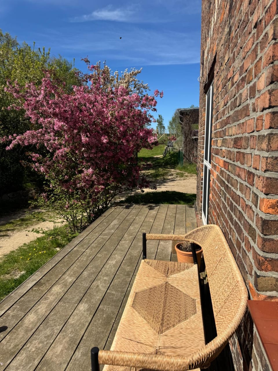 Garden, Balcony/Terrace