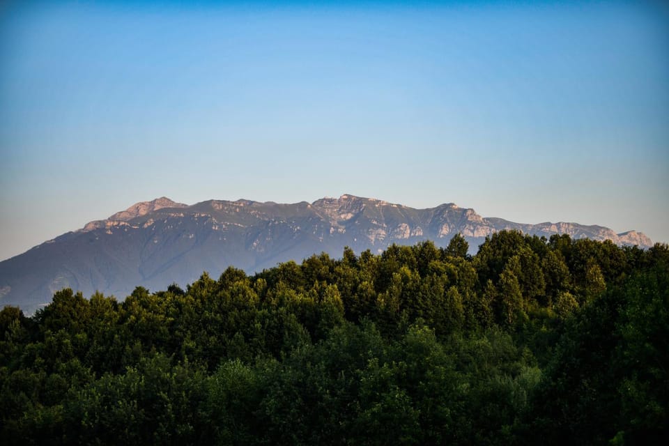 Mountain view