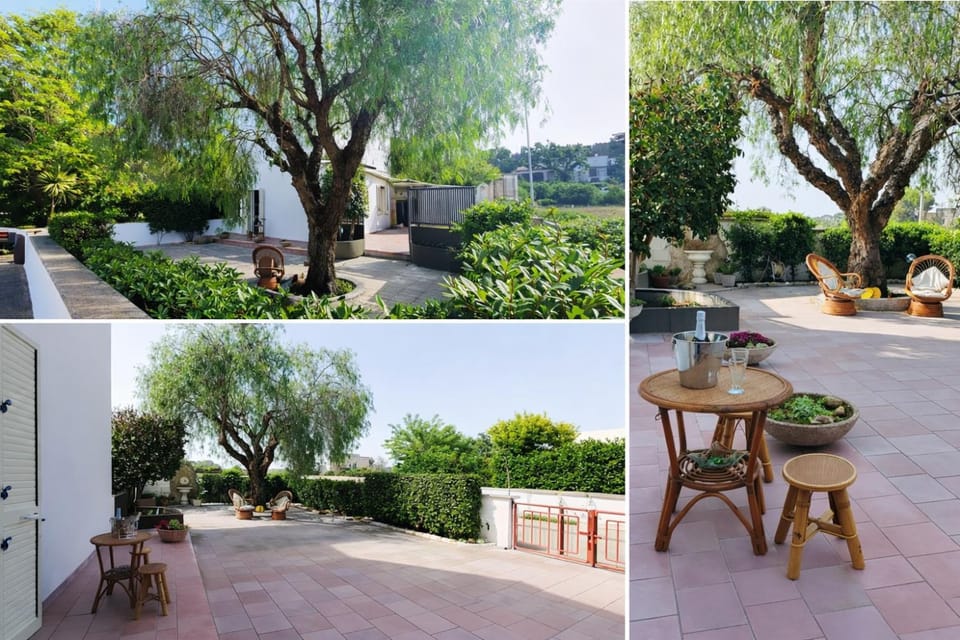 Garden, Garden view