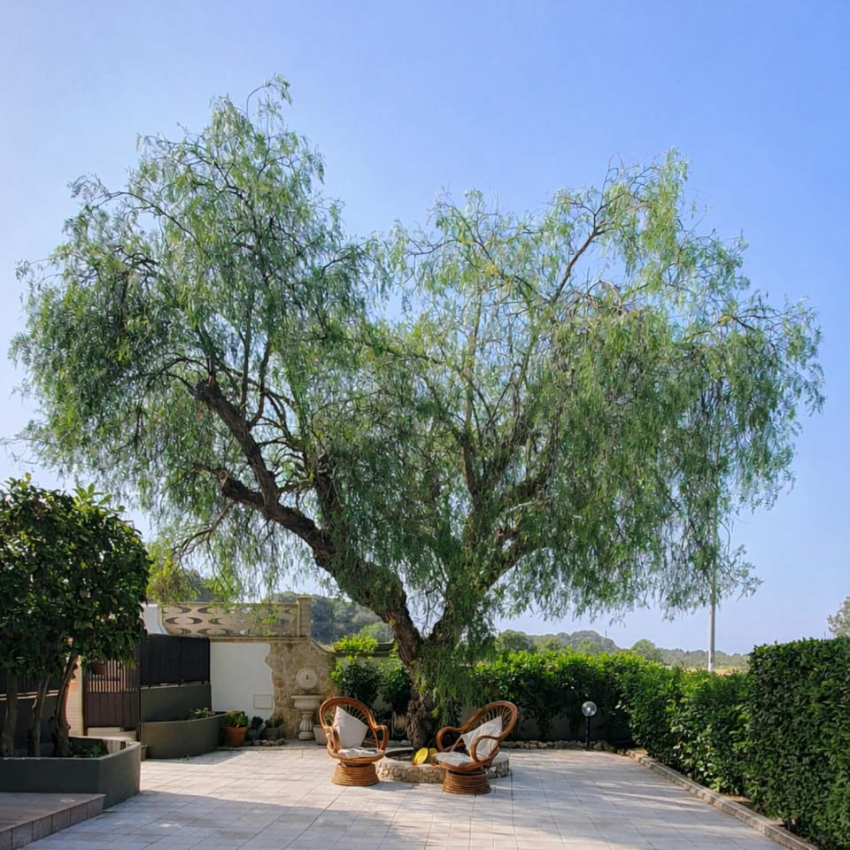 Garden, Garden view