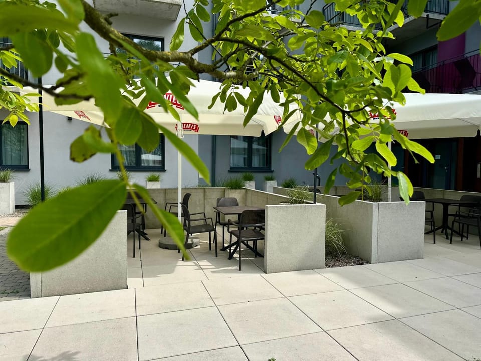 Property building, Patio, Day, Garden, View (from property/room)