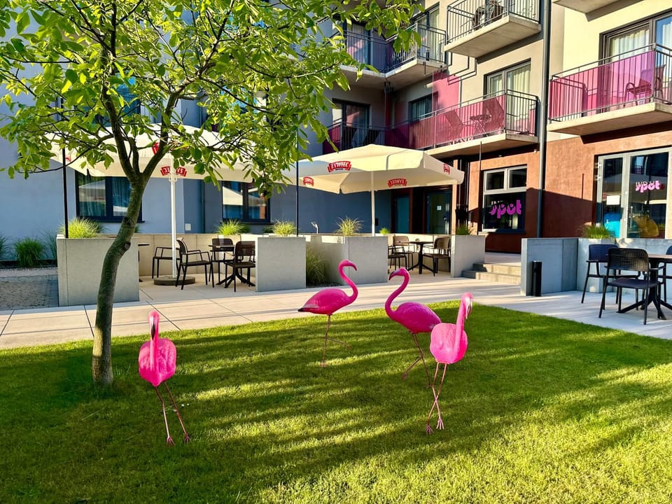 Property building, Patio, Day, Garden, Garden view