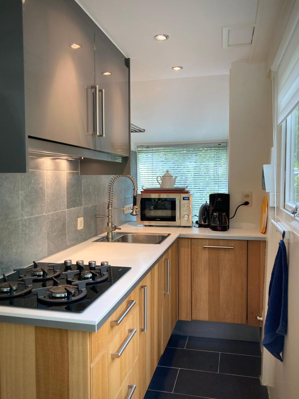 Kitchen or kitchenette, dishwasher, minibar, pet friendly, stove