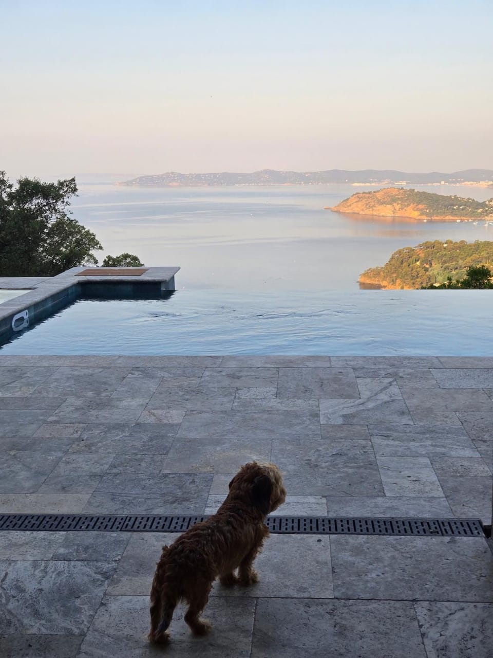 Day, Natural landscape, Pets, Sea view