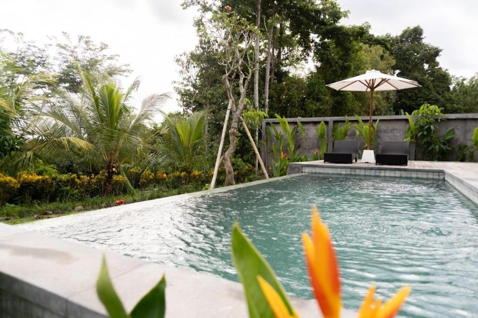 Garden view, Pool view, Swimming pool