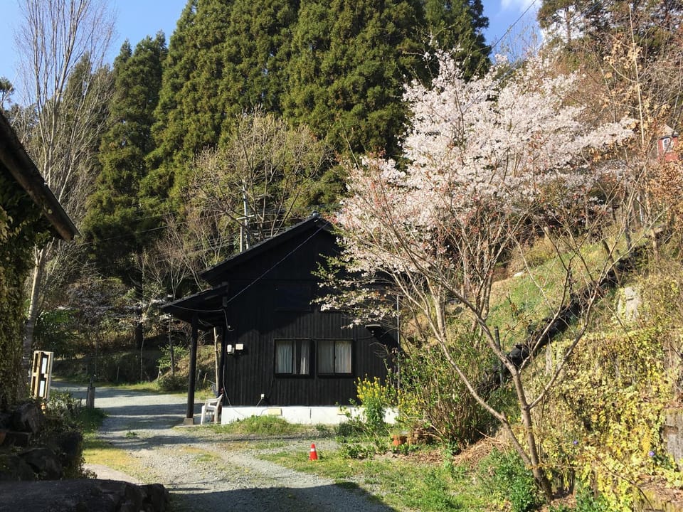 Property building, Spring
