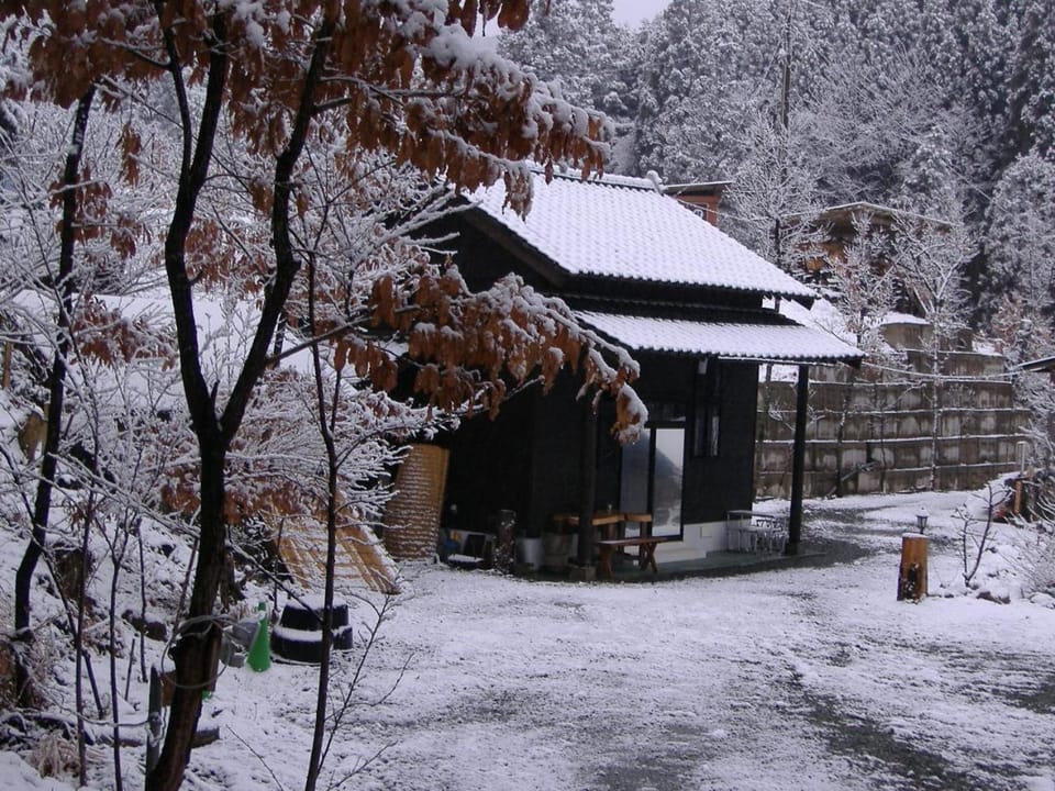 Property building, Winter