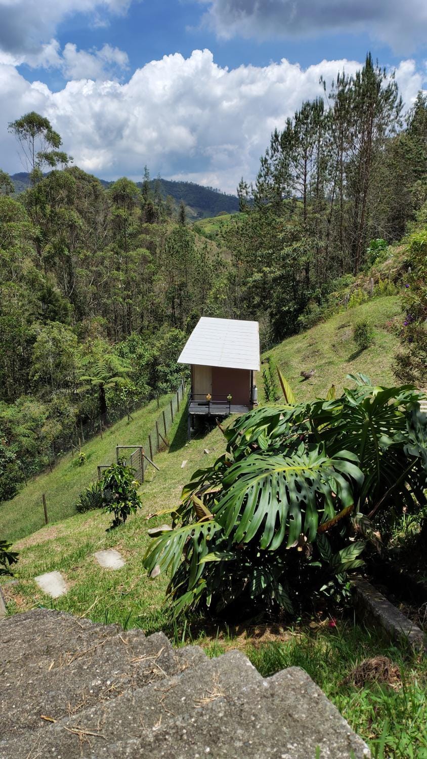 Natural landscape