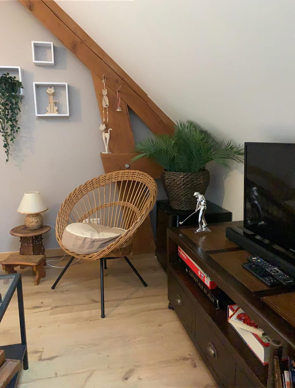 TV and multimedia