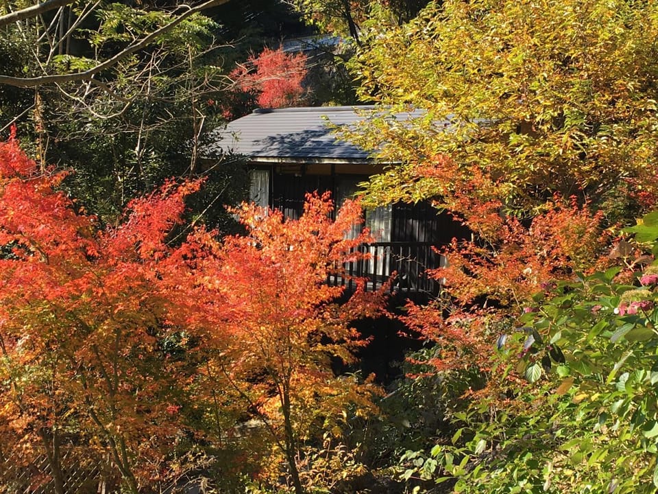Property building, Spring, Day, Autumn