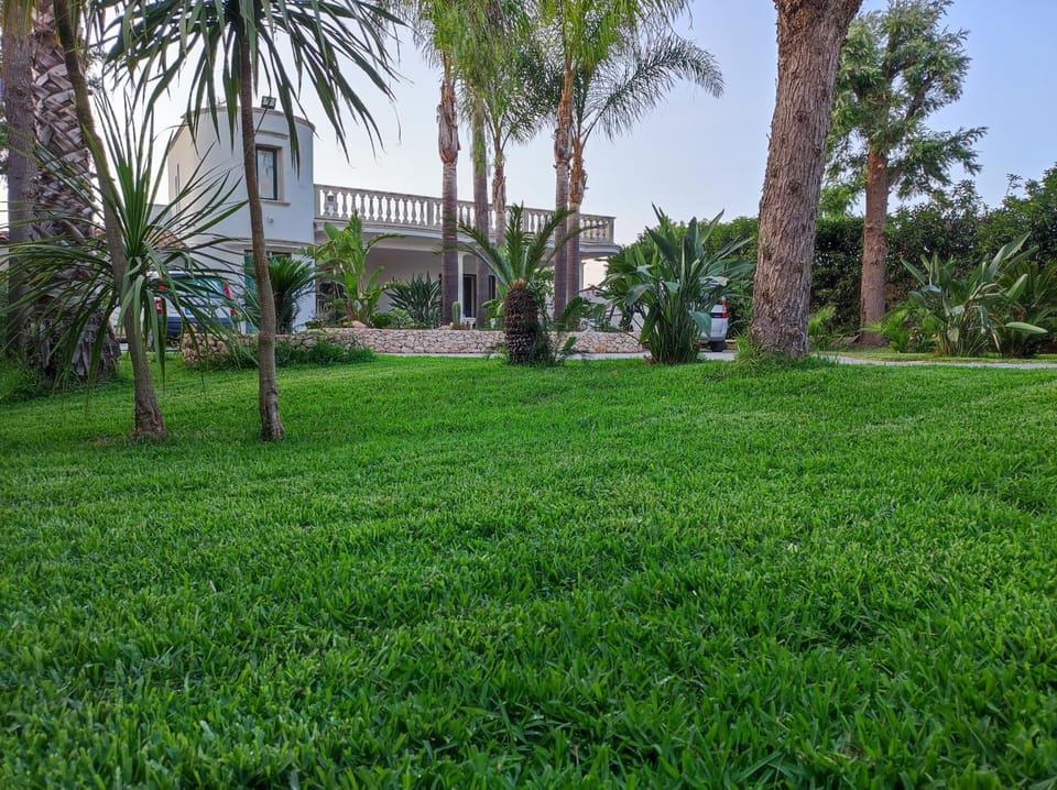Garden, Garden view