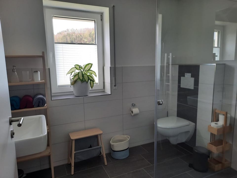 Bathroom, Living room