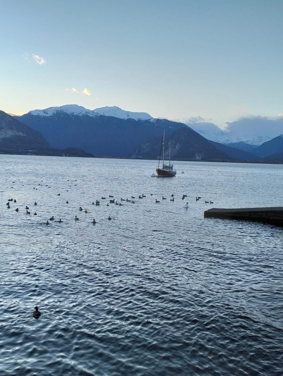 Casa vacanze Scent of Roses Apartment in Verbania