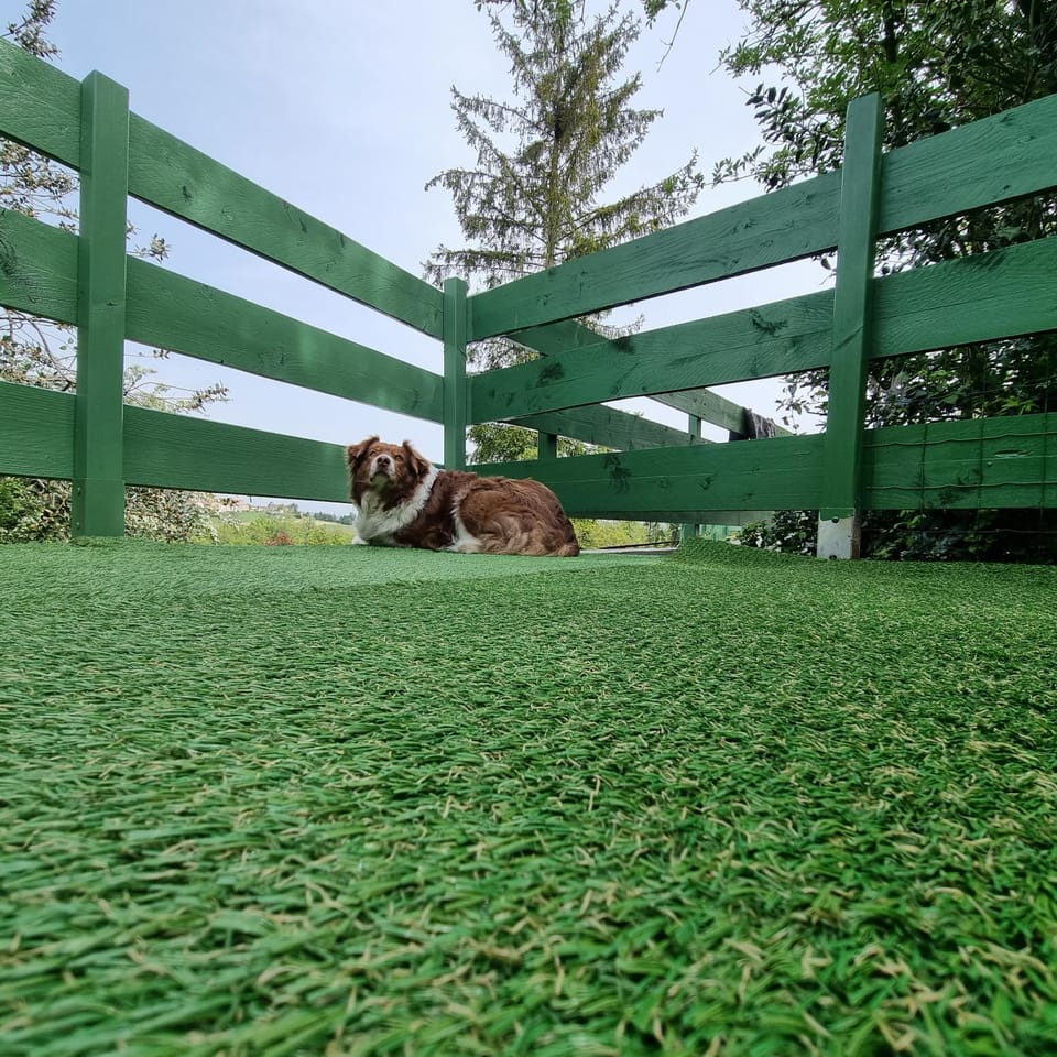 La Blache House in Provence-Alpes-Côte d'Azur