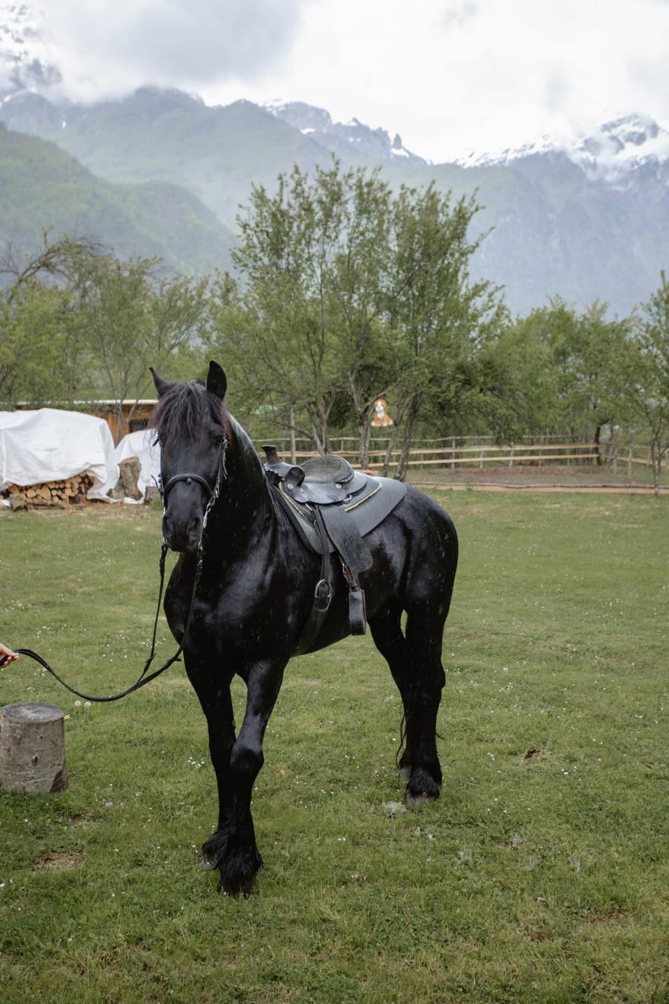 Shpija Ujevara e Vogel Villa in Montenegro