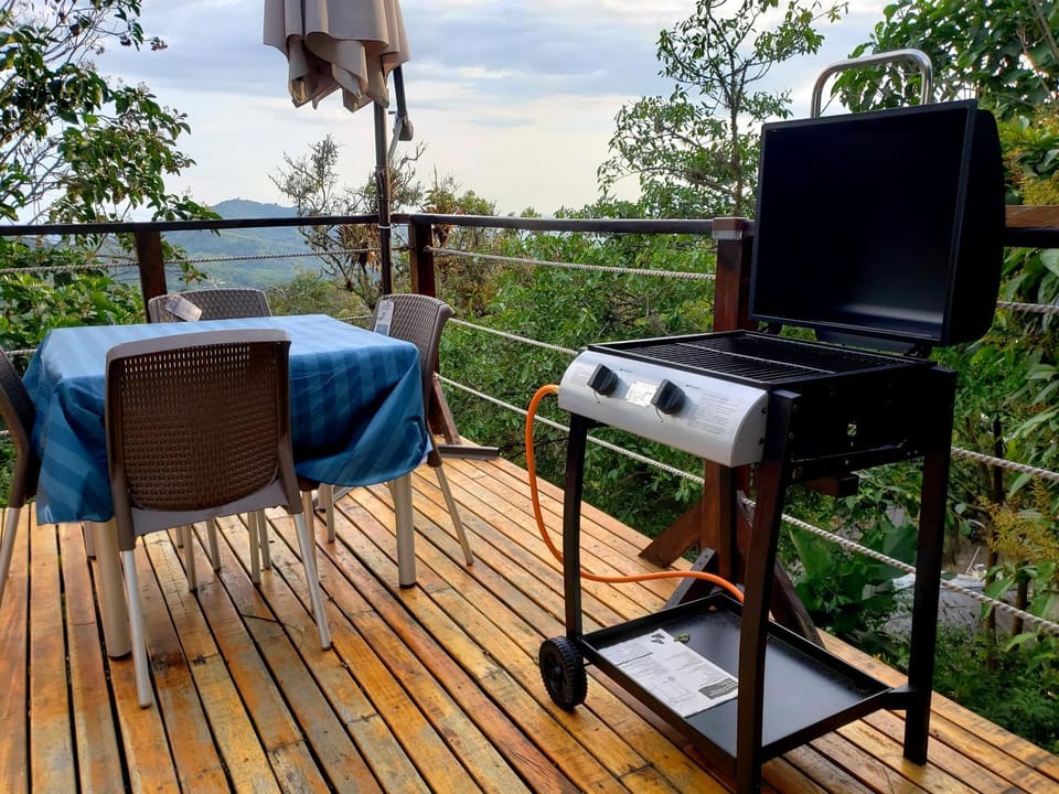 Balcony/Terrace, pet friendly