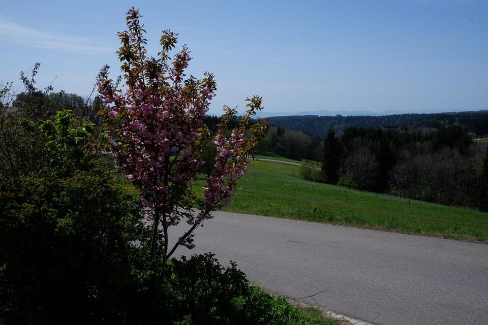 Natural landscape