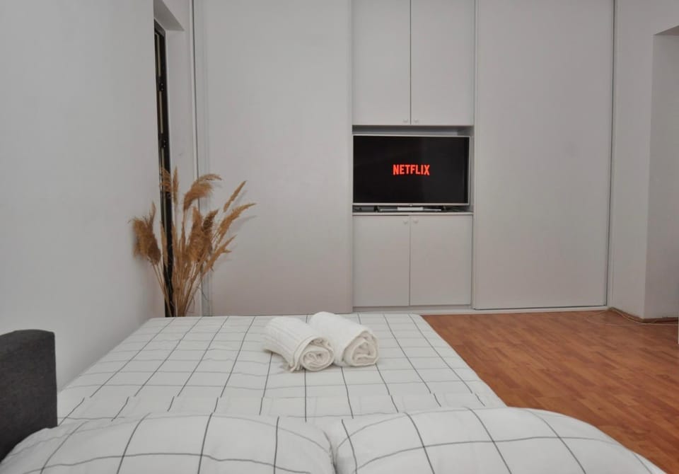 Lara Studio Craiovei Apartment in Romania
