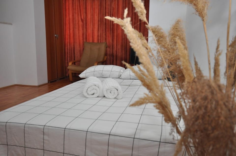 Lara Studio Craiovei Apartment in Romania