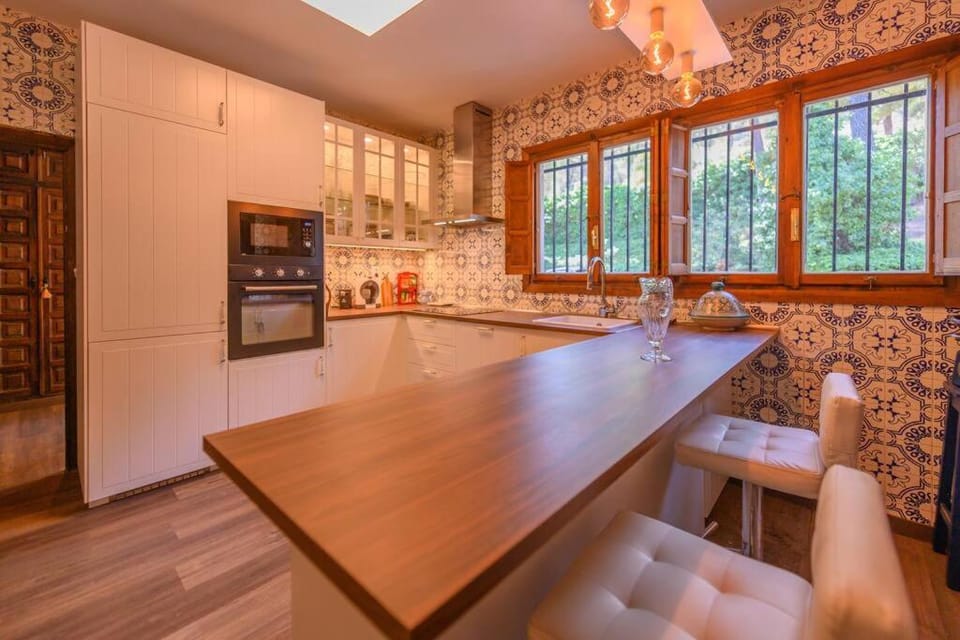 Kitchen or kitchenette, minibar, pet friendly, stove