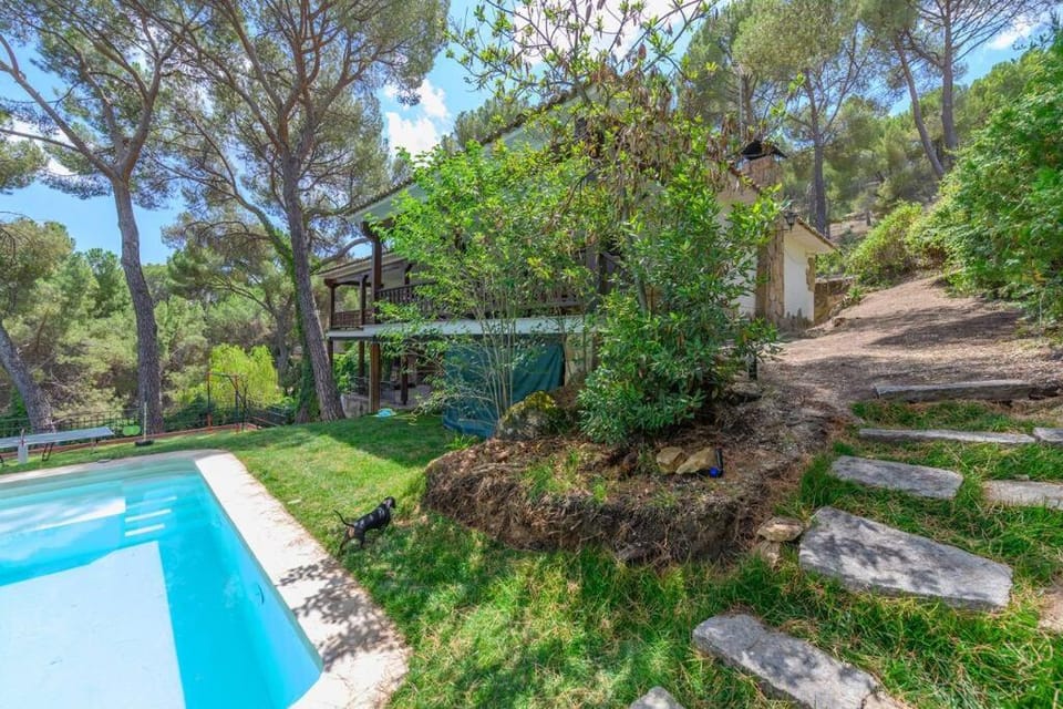 Day, Garden, Pool view, Swimming pool