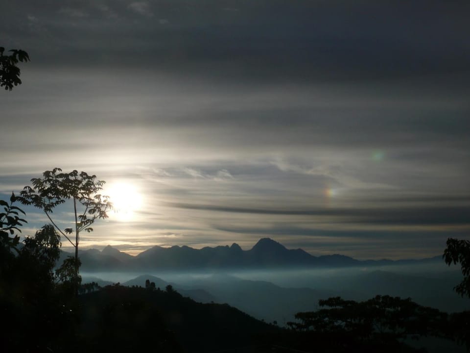Natural landscape