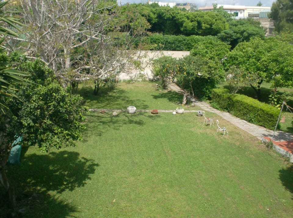 Garden view