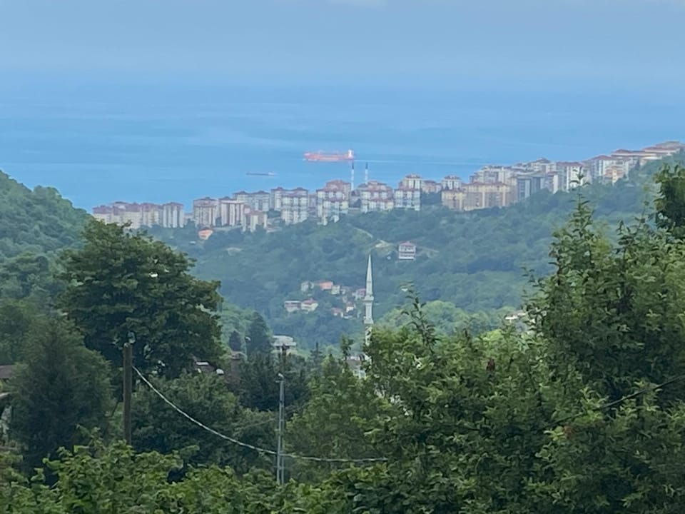 City view