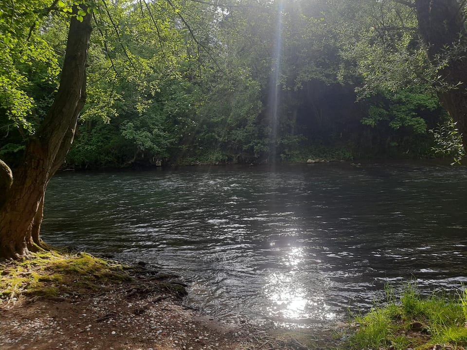 River view