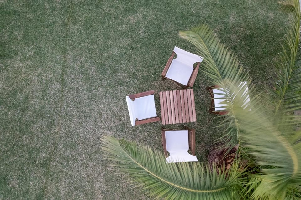 Day, Garden, Garden, Garden view