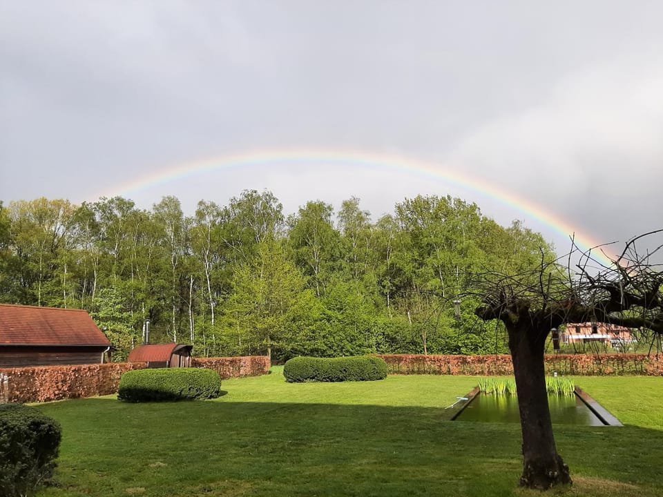 B&B De Levensboom Bed and Breakfast in Flanders