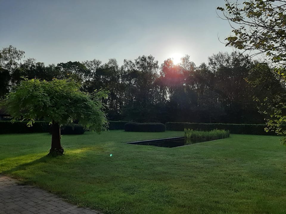 B&B De Levensboom Bed and Breakfast in Flanders