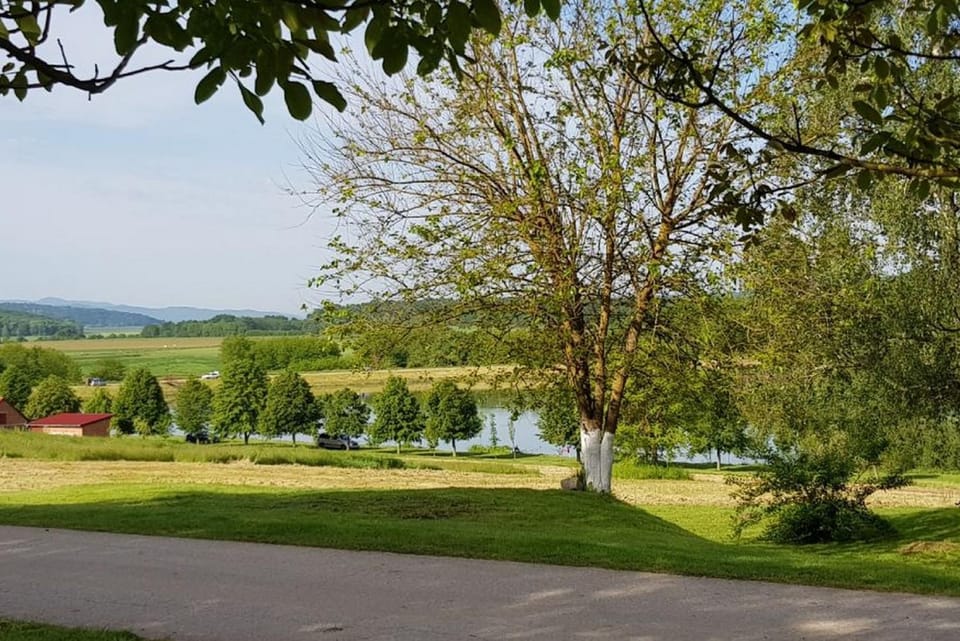 Location, children, Family