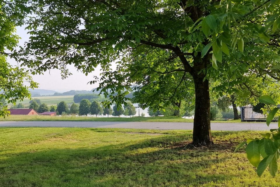 Location, children, Family
