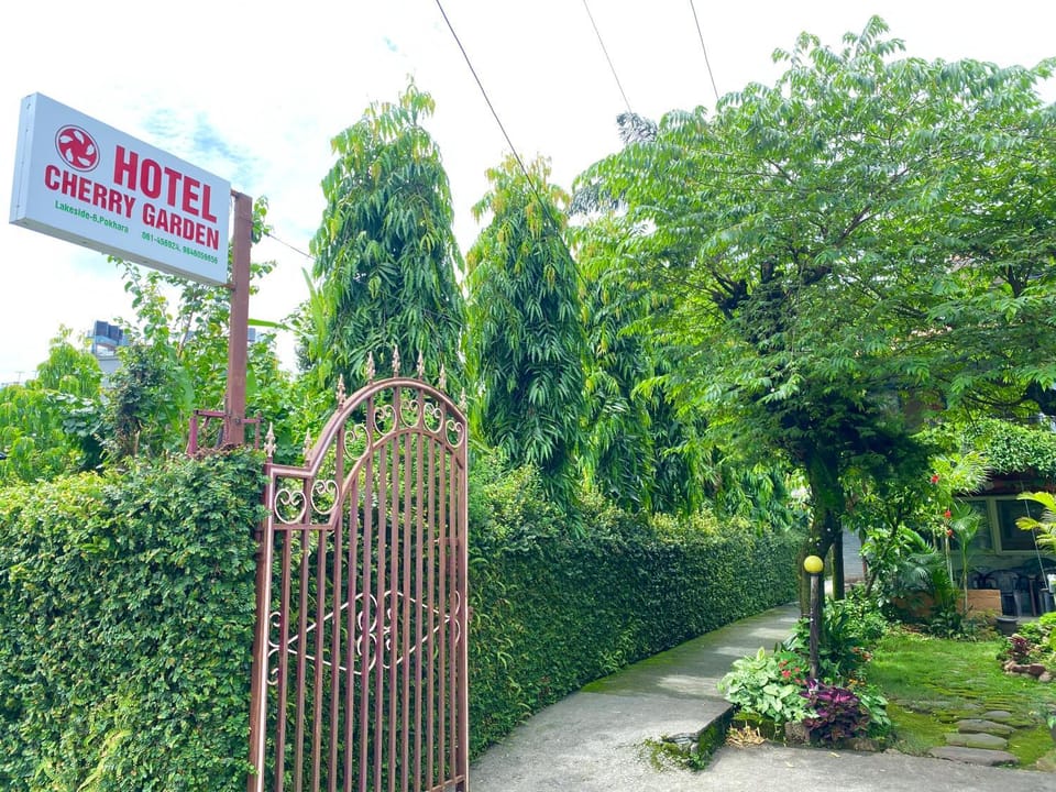 Garden view