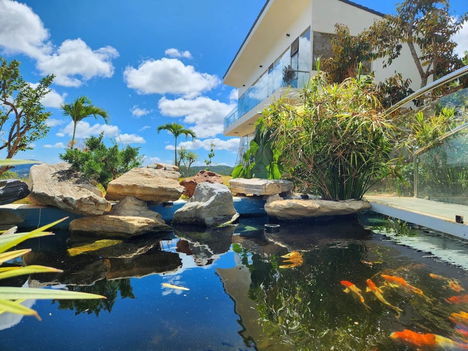 Day, Natural landscape, Garden