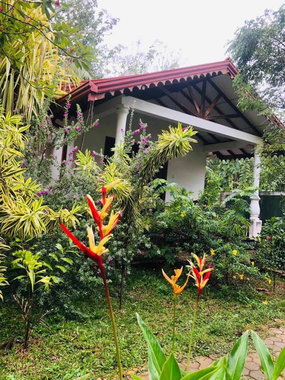 Scenic Cottage Sigiriya Nature lodge in Dambulla