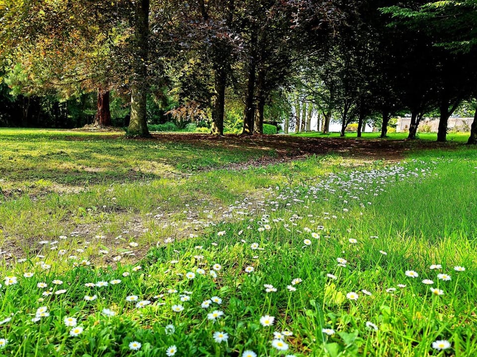 Domaine de L'isle Maniere Apartment in Brittany