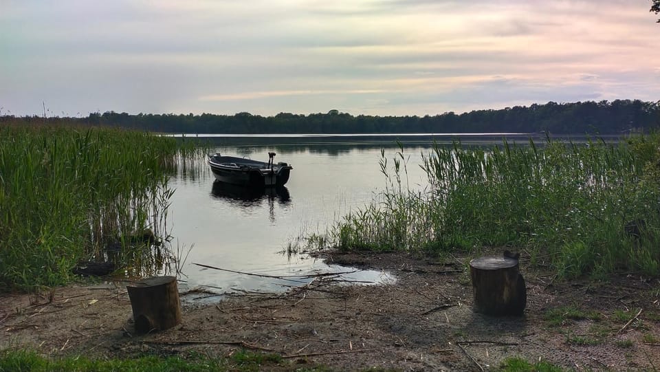 Lake view