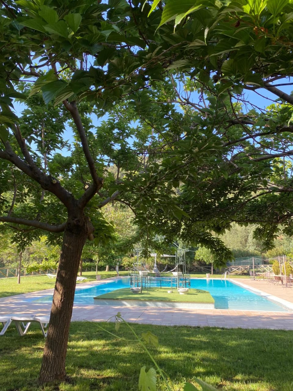 Spring, Day, Natural landscape, Garden, Garden view, Pool view, Pool view, Swimming pool, sunbed