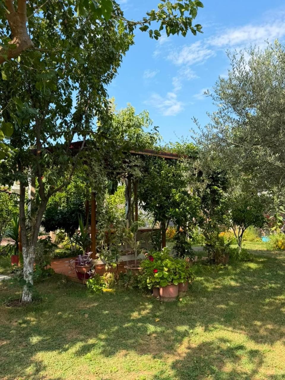Guest House Miracle Garden Villa in Vlorë