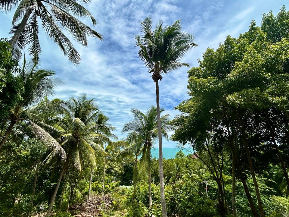 Day, Natural landscape, Garden, Sea view
