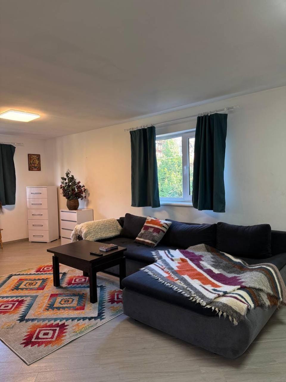 Living room, Photo of the whole room