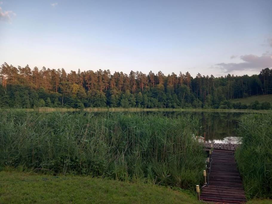 Lake view
