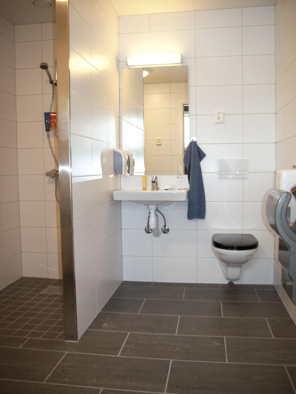 Shower, Toilet