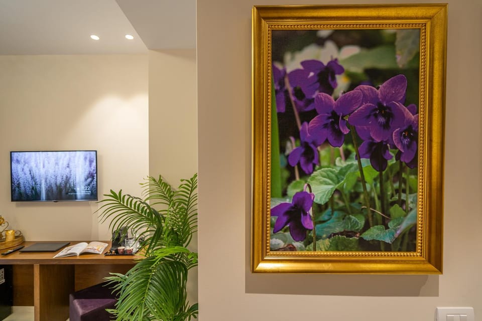 TV and multimedia, Decorative detail