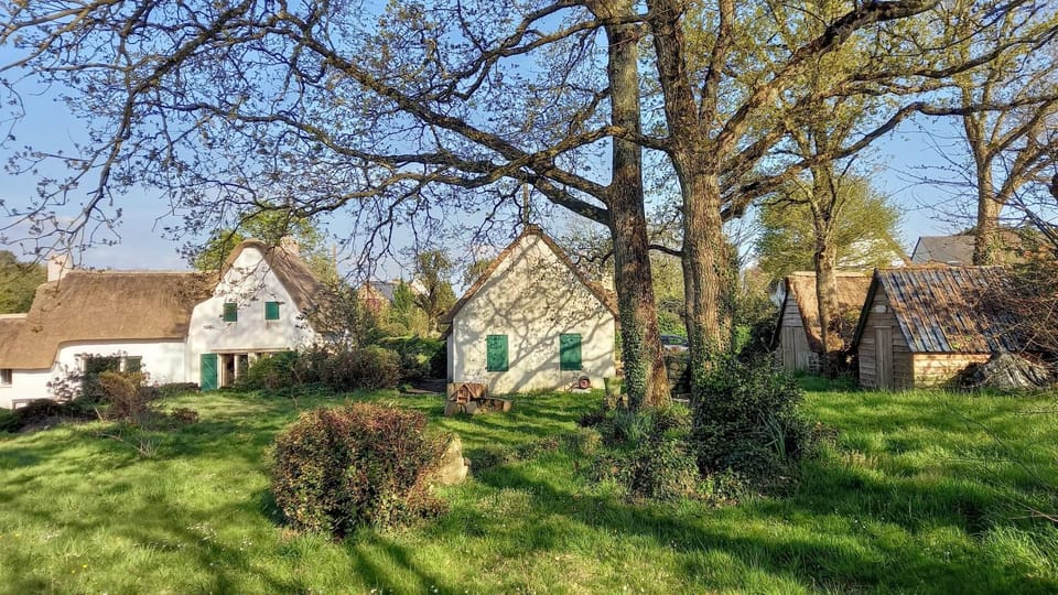 Property building, Garden, Garden view