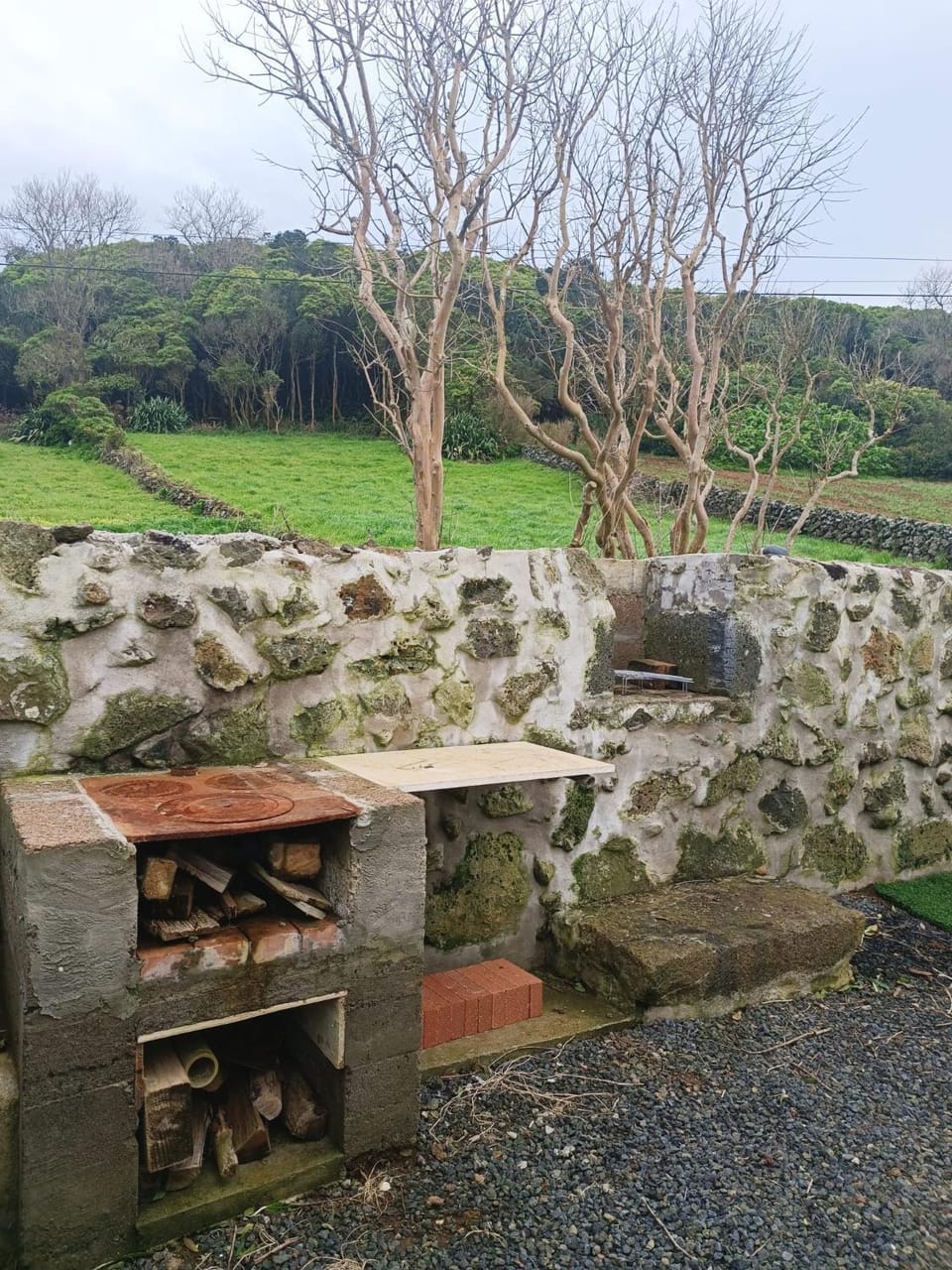 Natural landscape, Garden view